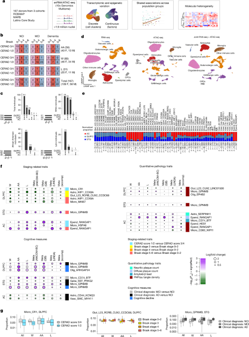 Cell-type signatures of Alzheimer’s disease shared across population groups