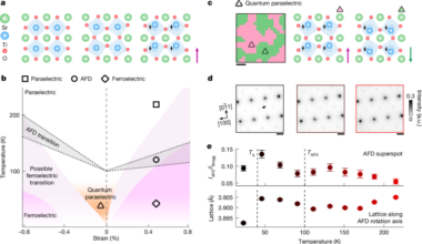 Imaging of nanoscale polar textures in quantum paraelectric SrTiO3
