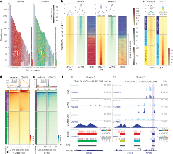 SUMOylation enhances DNMT1 function to repress mega-intergenic RNAs and viral mimicry