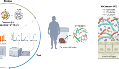 AI design of gut microbiomes - Nature