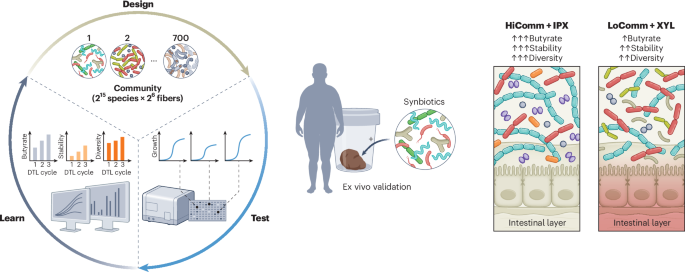 AI design of gut microbiomes - Nature