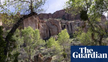 Arizona man pleads guilty after illegally living in forest for years among ‘1,000lbs of trash’ | Arizona