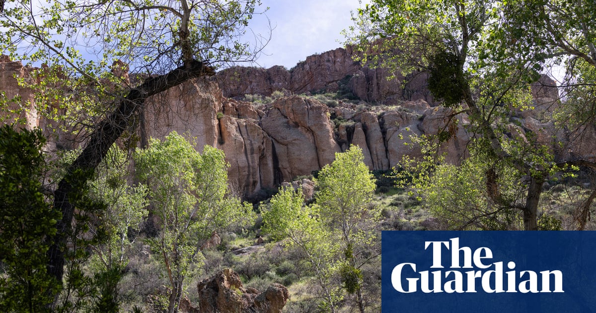 Arizona man pleads guilty after illegally living in forest for years among ‘1,000lbs of trash’ | Arizona