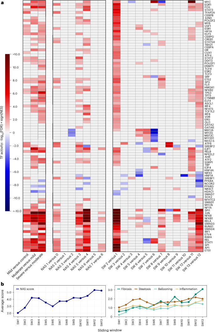 Fig. 3: Sliding window analysis to study the landscape of molecular changes along the MASLD trajectory.
