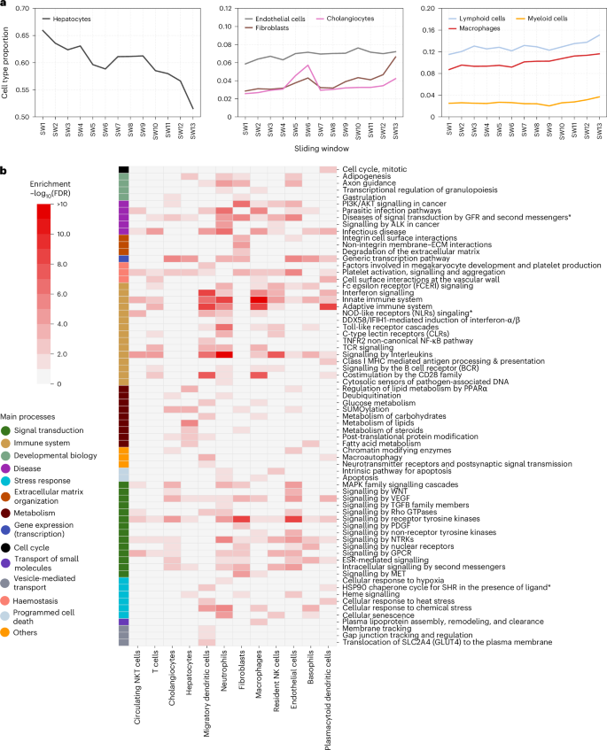 Fig. 4: Results of cell type deconvolution analysis.