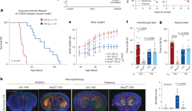 Hypoxia rescues complex 1-associated disease caused by proteostatic defects