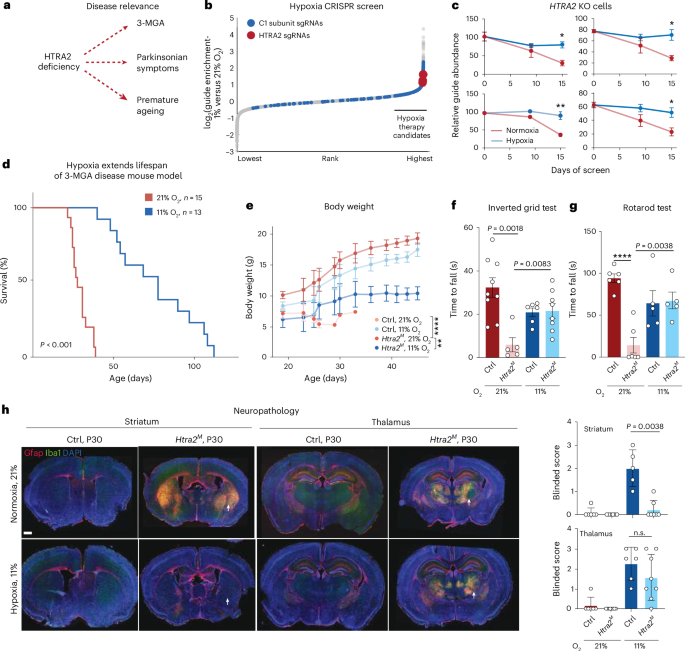 Hypoxia rescues complex 1-associated disease caused by proteostatic defects