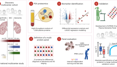 Plasma proteome profiling identified biomarkers for the differential diagnosis and molecular staging of neurodegenerative dementias