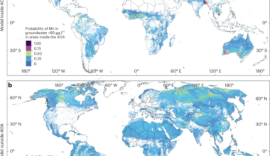 Human health risk from manganese in groundwater