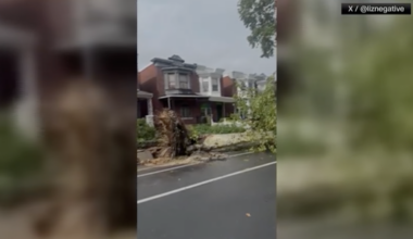 Powerful storm knocks down trees, causes damage in Philadelphia
