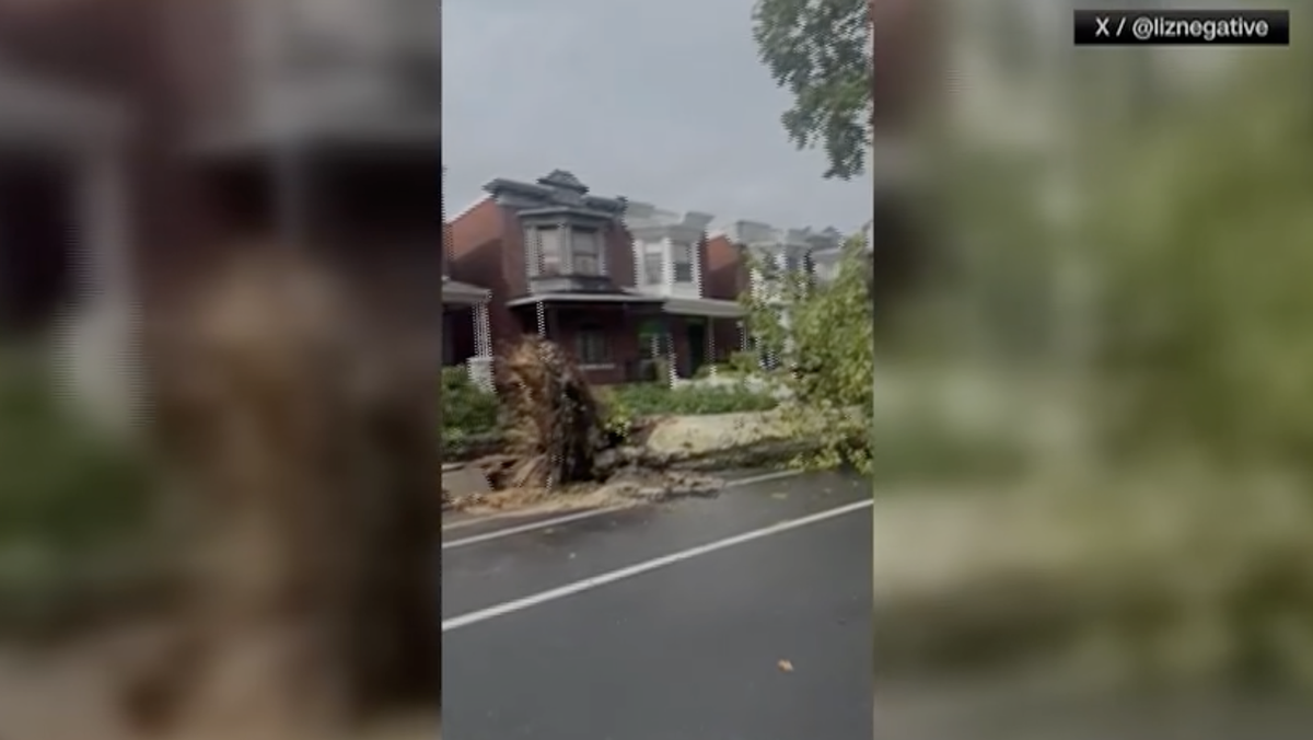 Powerful storm knocks down trees, causes damage in Philadelphia