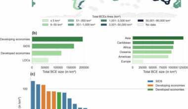 Global assessment shows blue carbon wealth dominated by ocean processes and unevenly distributed across countries