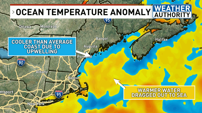 Current ocean temperature anomaly (WGME).