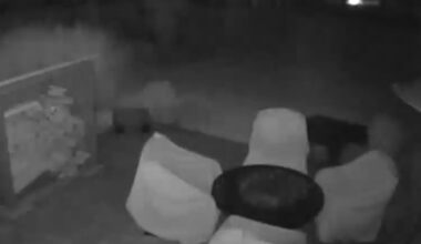 Bear spotted on Fayette County woman’s back patio