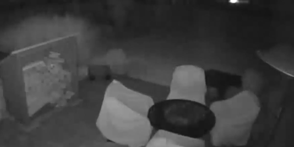 Bear spotted on Fayette County woman’s back patio
