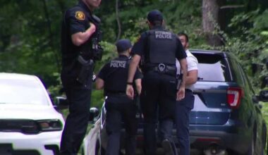 Man dies after shooting in Pittsburgh's Northview Heights; 1 charged