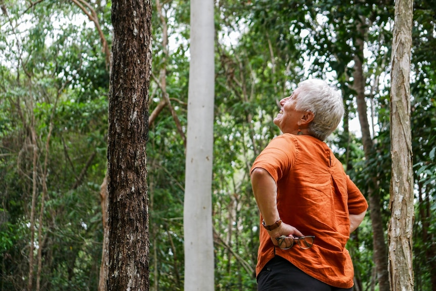 A woman leans back to look up into the tree canopy.