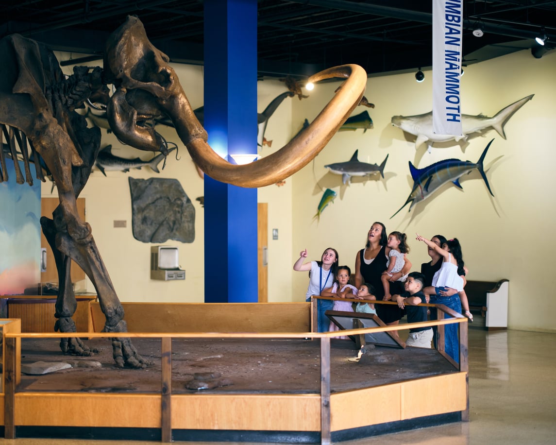 A group of adults and children look up in awe at a large mammoth skeleton in a museum, one of the city's most fascinating tourist attractions, with models of sea creatures on the wall behind them.