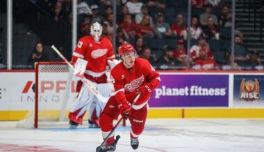 Red Wings Player Already Pondering Return to Sweden