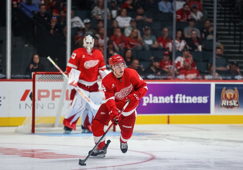 Red Wings Player Already Pondering Return to Sweden