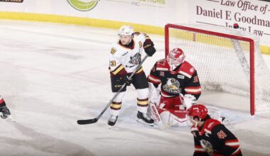 Red Wings Lock in Netminder to One-Year Deal