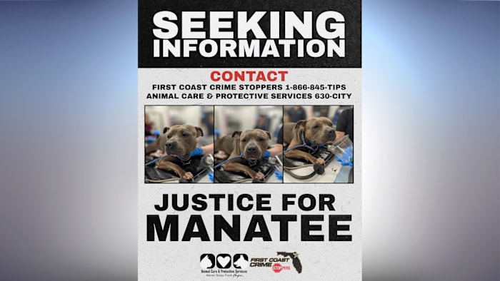 ‘Justice for Manatee:’ Dog found stabbed, wrapped in shower curtain near Blanding Boulevard