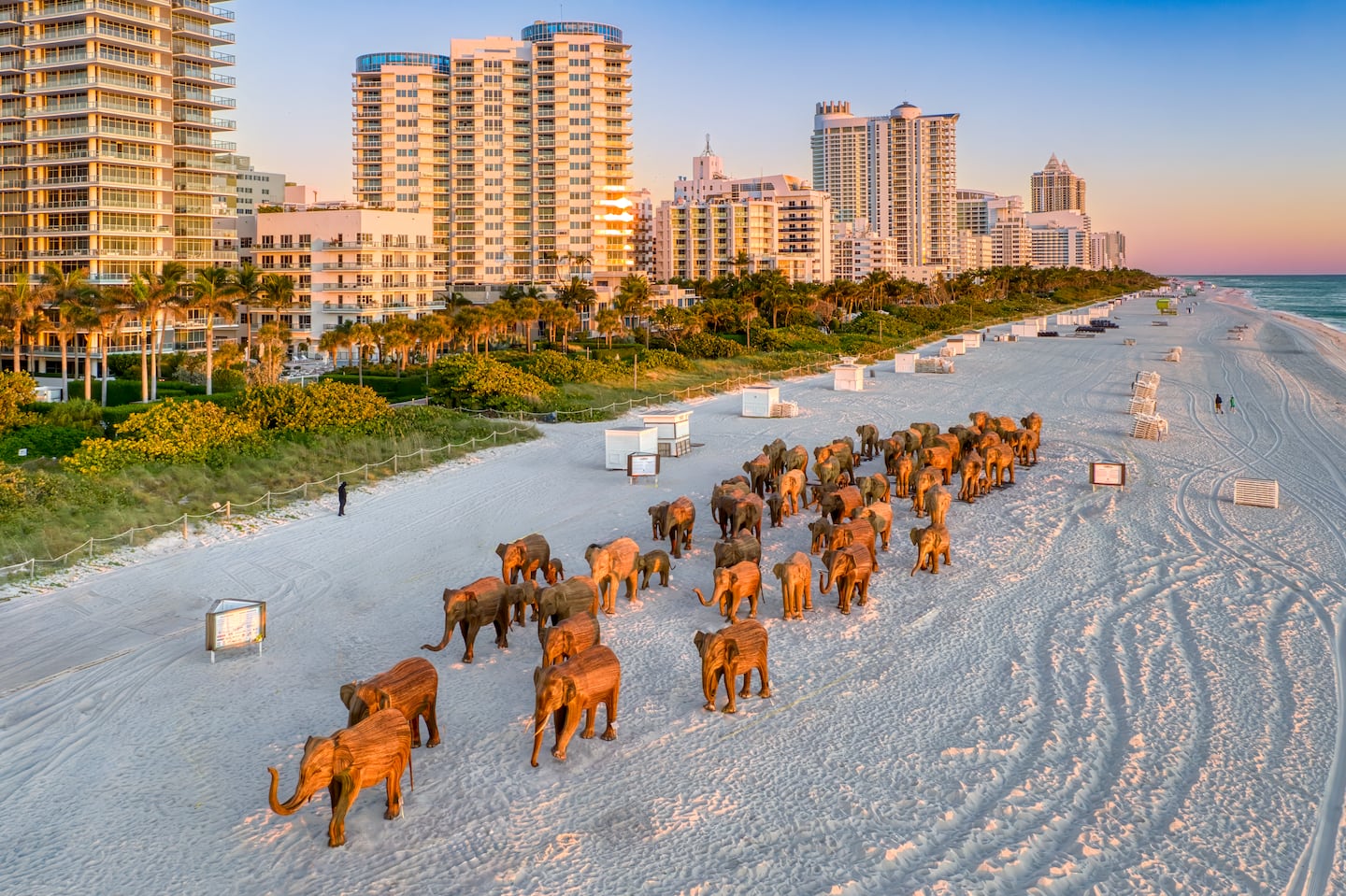 The elephants in Miami.