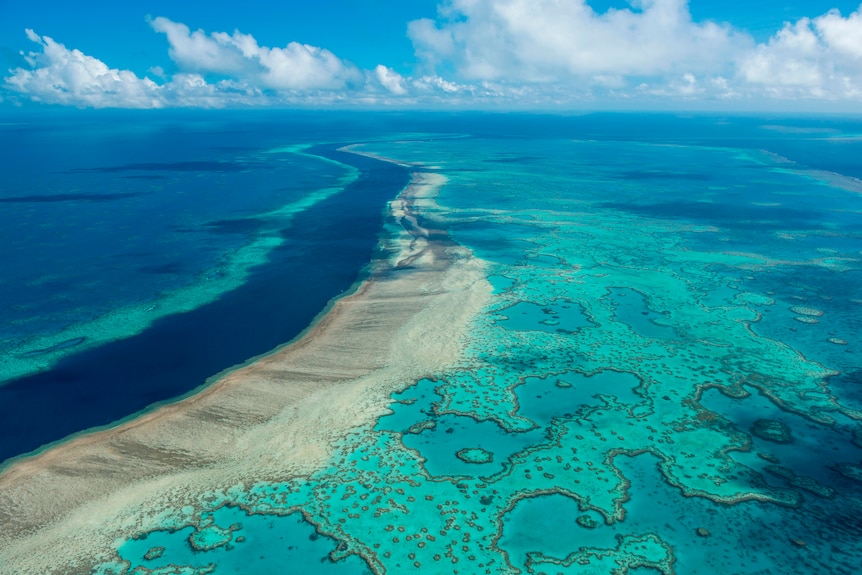 A plane view of a sandbar and a dark blue water channel surrounded by turquoise coral reef waters