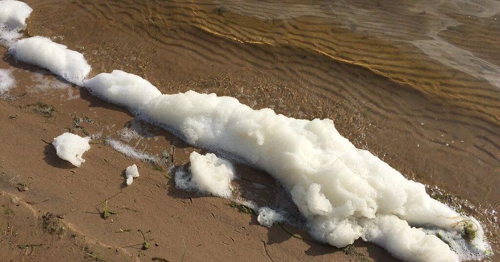 NY proposes first-in-nation regulations on PFAS | News