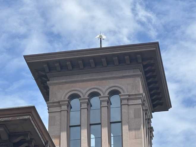 Seagull stuck on the roof of Victoria Mansion Seagull stuck on the roof of Victoria Mansion