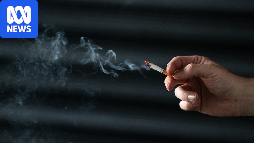 New report lists Melbourne and Sydney as world's most expensive cities for beer and cigarettes