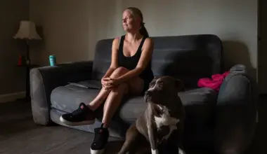 Therapy in a Tent: The Healthcare Many Homeless Californians Need but Aren’t Getting | Lost Coast Outpost