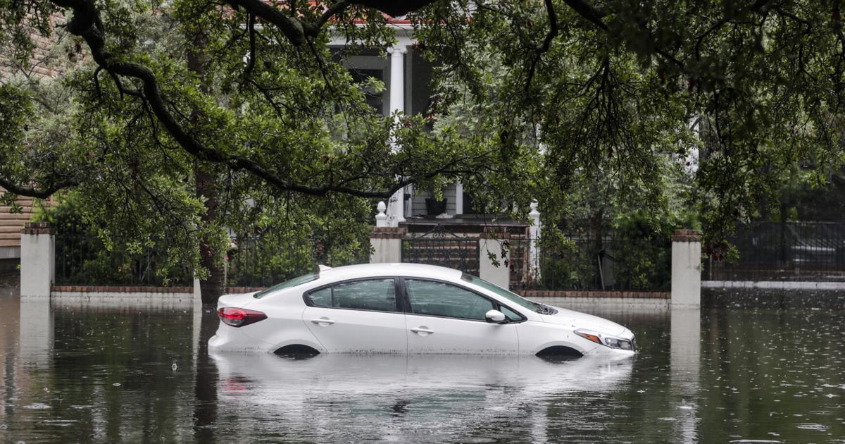 City, College of Charleston monitor rising groundwater