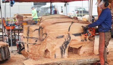 Janicki Industries sends hand-carved Loggerodeo bison to new Montana campus | News