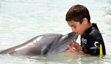Katrina dolphin dies at Atlantis Bahamas, nonprofit says | Gulf Coast