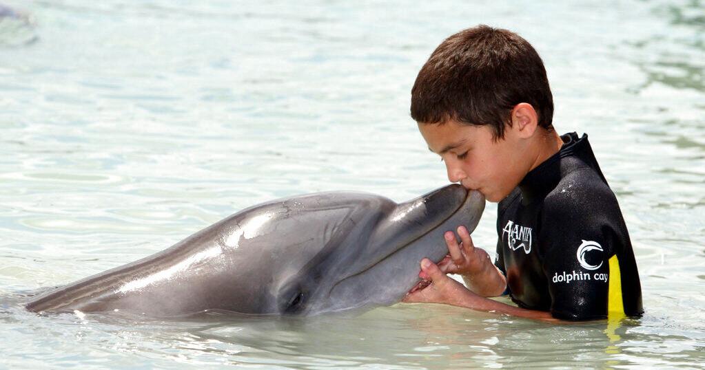 Katrina dolphin dies at Atlantis Bahamas, nonprofit says | Gulf Coast