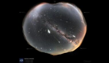 Delta Aquariids and Perseids meteor showers coming in July | Pets, Animals and Nature