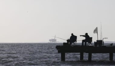 Gulf of Mexico's rapid warming threatens Louisiana's coast | Environment