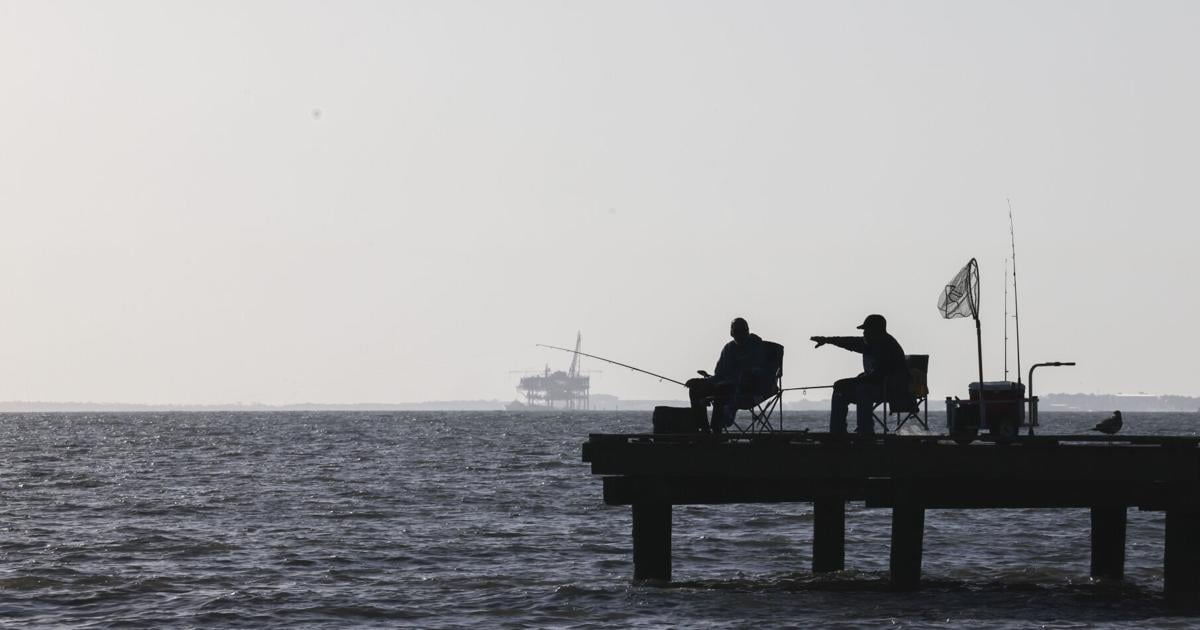 Gulf of Mexico's rapid warming threatens Louisiana's coast | Environment
