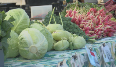 State health officials confirm 43 cases of Cyclosporiasis, WI farmers on alert | News