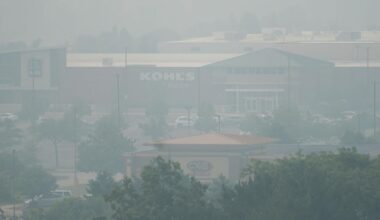 Area-wide pollution action day issued for most of Illinois | Local News