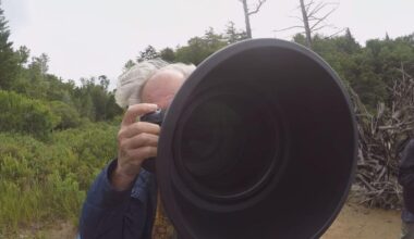 An Effort to Save the Adirondack Bears | Education