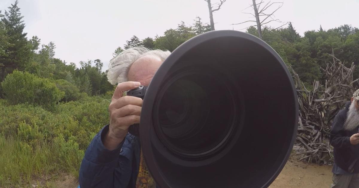 An Effort to Save the Adirondack Bears | Education