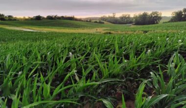 Illinois students win Cream of the Crop photography contest | Local News