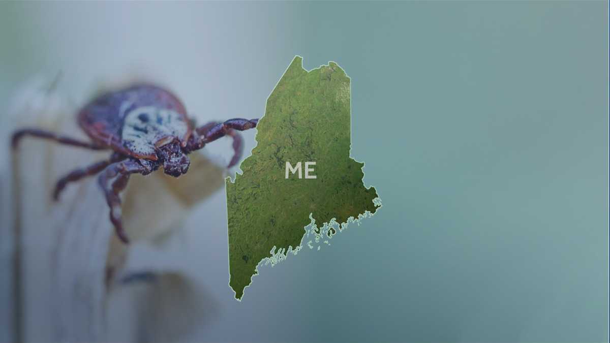 Another person in Maine confirmed to have the rare Powassan virus