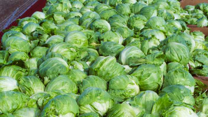 Iceberg lettuce recalled in 27 states, including Mass., in connection with Cyclospora outbreak