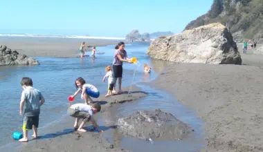 Big Trouble in Little River: After 16 Years, an Environment Dispute Between State Regulators and an Octogenarian Farmer Just Upstream From Moonstone Beach Could be Coming to a Head | Lost Coast Outpost