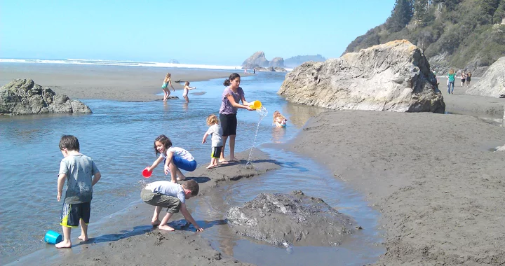 Big Trouble in Little River: After 16 Years, an Environment Dispute Between State Regulators and an Octogenarian Farmer Just Upstream From Moonstone Beach Could be Coming to a Head | Lost Coast Outpost