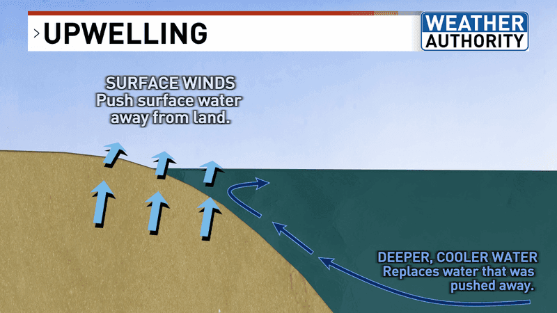 Upwelling water movement (WGME).