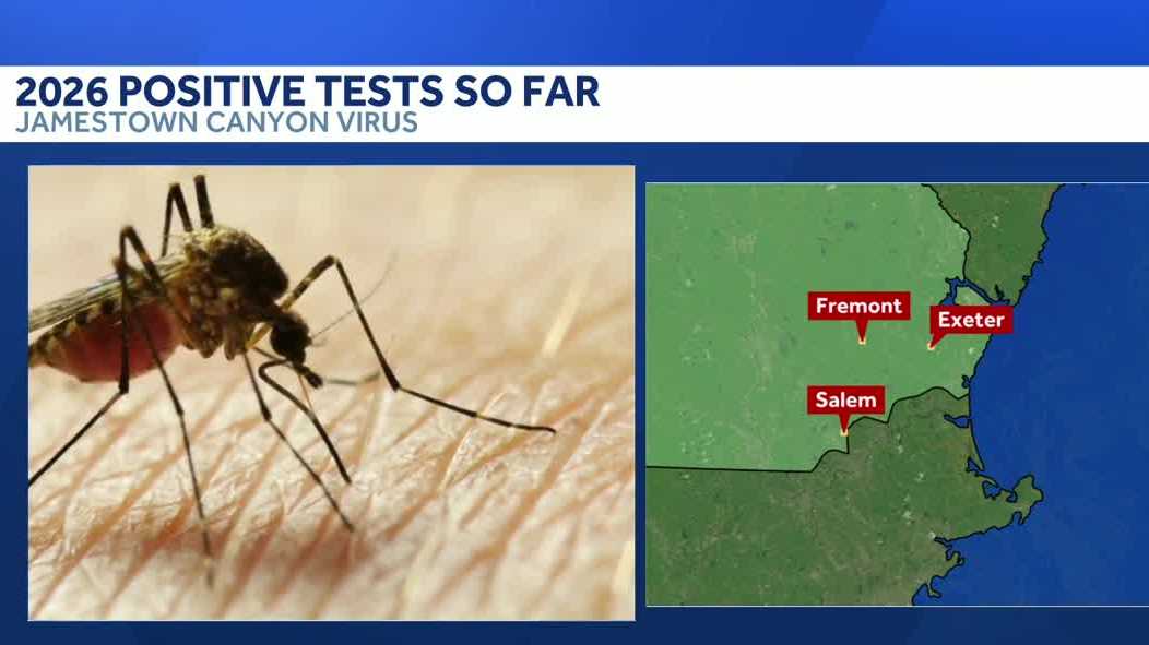 Jamestown Canyon virus found in mosquitoes in NH